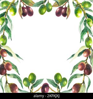 Olive tree square frame, border. Black olives and branches corners ...
