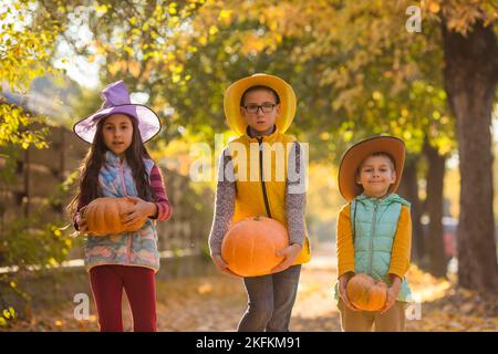 Kids picking and carving pumpkins at country farm Stock Photo