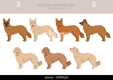 Basque Colours Basque Shepherd dog all colours clipart. Different coat colors and ...