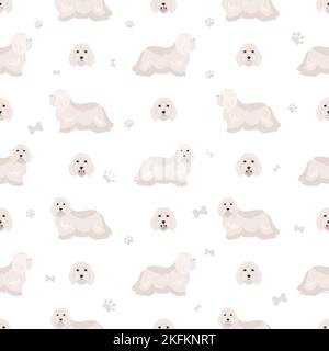 Coton de Tulear seamless pattern. Different poses, coat colors set.  Vector illustration Stock Vector