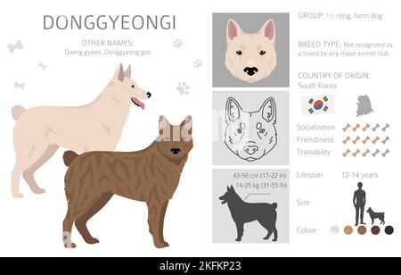 Donggyeongi clipart. All coat colors set. All dog breeds ...