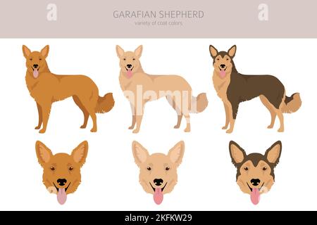 are garafian shepherd aggressive