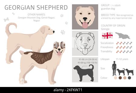 Georgian Shepherd Nagazi clipart. Different coat colors set. Vector ...