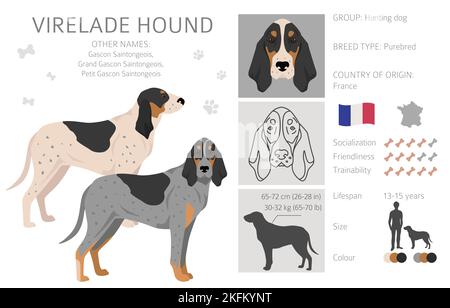 Virelade Hound clipart. All coat colors set. All dog breeds ...