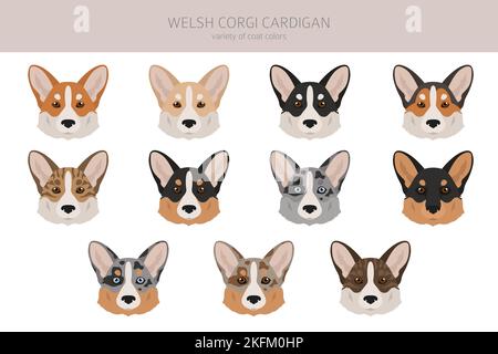 Welsh corgi cardigan clipart. Different poses, coat colors set.  Vector illustration Stock Vector