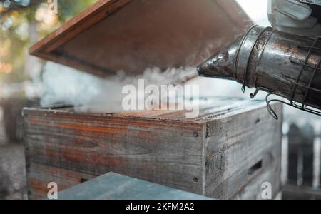 Smoke, beekeeping and agriculture with a wood box and bee smoker for production of honey, honeycomb and beeswax on farm. Apiarist worker working to Stock Photo