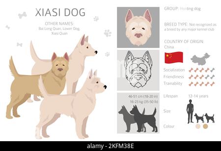 Xiasi dog clipart. All coat colors set. All dog breeds characteristics ...