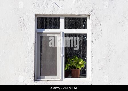 White window on white. Flowerpot in front of the window. Stock Photo