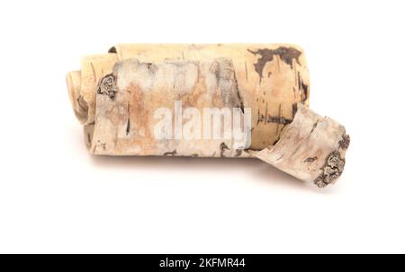 A strip of birch bark naturally curved into a scroll shape, isolated on white Stock Photo