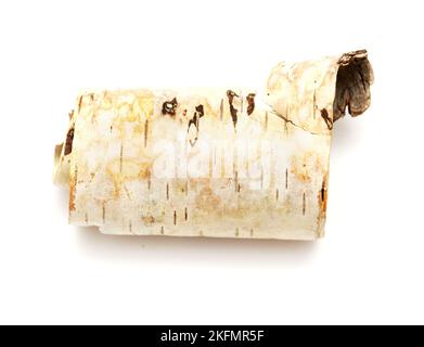 A strip of birch bark naturally curved into a scroll shape, isolated on white Stock Photo