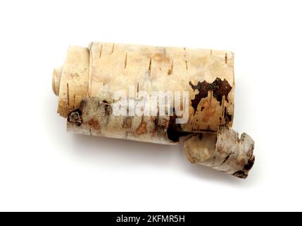 A strip of birch bark naturally curved into a scroll shape, isolated on white Stock Photo