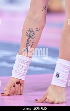 161 Volleyball Tattoos Stock Photos, High-Res Pictures, and Images - Getty  Images