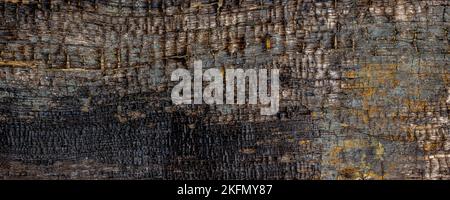 Old rough and burned wooden texture background Stock Photo