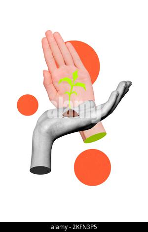 Vertical collage illustration of two human arms black white gamma hold painted growing plant isolated on creative background Stock Photo