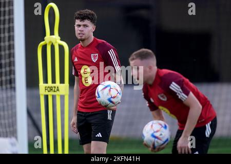 Wales’ Neco Williams looks on during a training session at the Al Sadd Sports Club in Doha, Qatar. Picture date: Saturday November 19, 2022. Stock Photo