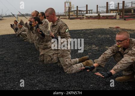 U.S. Marine Corps recruits with Golf Company, 2nd Recruit Training Battalion, execute a front brake fall during the combat conditioning course (CCX) at Marine Corps Recruit Depot San Diego, Sept. 28, 2022. The CCX was designed to increase recruits’ stamina and ability to perform Marine Corps Martial Arts Program techniques. Stock Photo