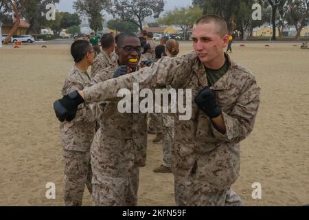 U.S. Marine Corps recruits with Golf Company, 2nd Recruit Training Battalion, execute counter to strikes during the combat conditioning course (CCX) at Marine Corps Recruit Depot San Diego, Sept. 28, 2022. The CCX was designed to increase recruits’ stamina and ability to perform Marine Corps Martial Arts Program techniques. Stock Photo