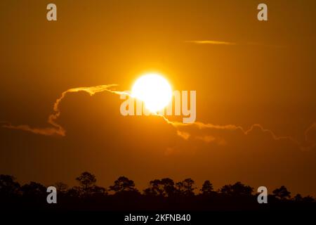 Sunrise skyscape, Alligator River NWR, North Carolina Stock Photo