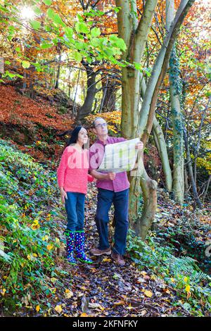 Couple standing in Autumn woodland and reading map Stock Photo