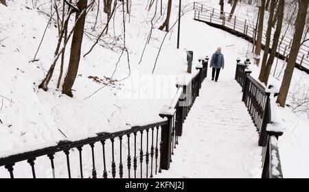 Iron snow-covered stairs leading to the park in winter Stock Photo