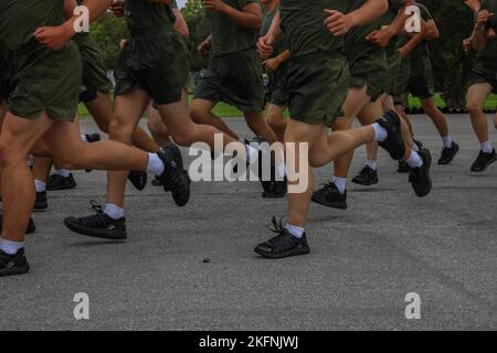 New Marines with Fox Company, 2nd Recruit Training Battalion, run in formation during a motivational run at Marine Corps Recruit Depot (MCRD), San Diego, Sept. 29, 2022. The motivational run was the last physical training Marines conducted while at MCRD. Stock Photo