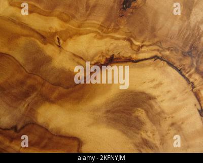 texture from an olive wood Stock Photo
