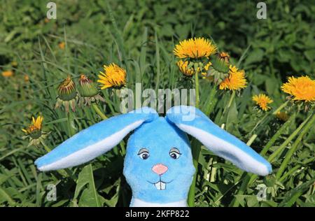 A toy rabbit head, made of plush in the green grass in dandelions. Rabbit - a symbol of 2023 year according to the eastern calendar. New Year of 2023 Stock Photo