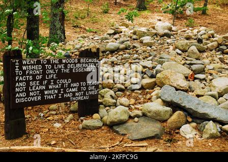 Amazon.com: Thoreau Quote