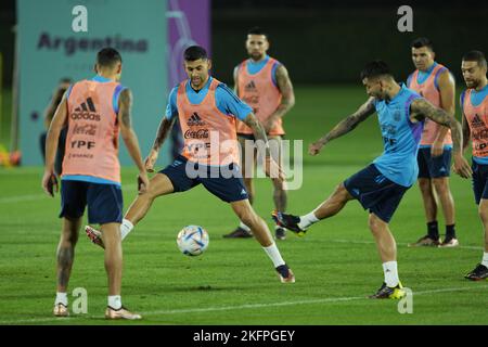 Doha, Qatar. 19th Nov, 2022. Players of Argentina attend a training session ahead of 2022 Qatar FIFA World Cup in Doha, Qatar, Nov. 19, 2022. Credit: Zheng Huansong/Xinhua/Alamy Live News Stock Photo