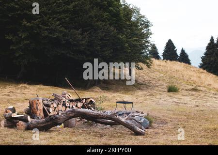 A preparation of a campfire with woods in the nature Stock Photo