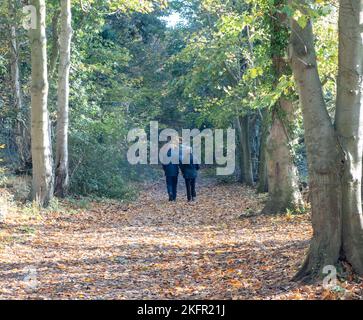 Couple enjoying autumnal walk in the park Stock Photo - Alamy