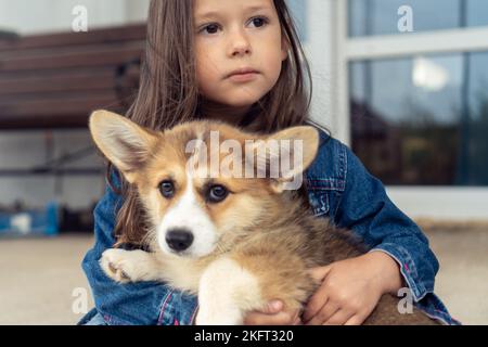 Portrait of amazing little girl with long dark hair wearing denim jacket, embracing sweet welsh pembroke corgi puppy pet, caressing, stroking fur Stock Photo