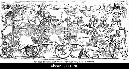 Illustration of Assyrian Warriors in Battle from Antique 19th Century ...