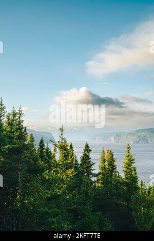 Drone view of picturesque landscape of green trees growing on slope of mountain on cloudy day and large blue lake Stock Photo