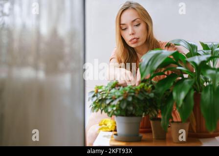 Young female in casual clothes sitting at table with potted houseplants in light room Stock Photo