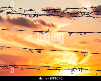 Silhouette of Barbed wire with sunset background Stock Photo