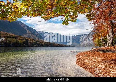 Autumn at the coast of Lake Bohinj in the Triglav National Park, The Julian Alps, Slovenia Stock Photo