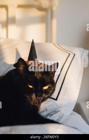 A vertical of a black cat wearing a tiny black and gold witch hat while lounging on a white bed. Stock Photo