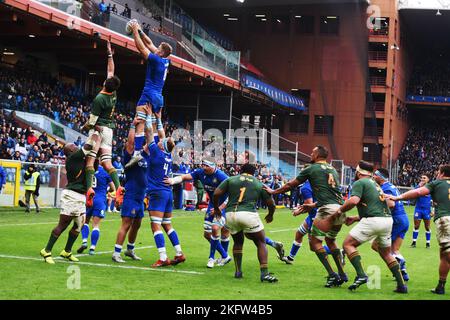 during the ANS - Autumn Nations Series Italy, rugby match between Italy and  South Africa on 19 November 2022 at Luigi Ferrarsi Stadium in Genova,  Italy. Photo Nderim Kaceli - SuperStock