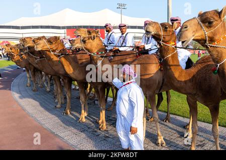 Doha, football, FIFA World Cup 2022, Qatar. 20th Nov, 2022. Ecuador, In the picture: before match, Photo: Andrzej Iwanczuk Credit: Sipa USA/Alamy Live News Stock Photo