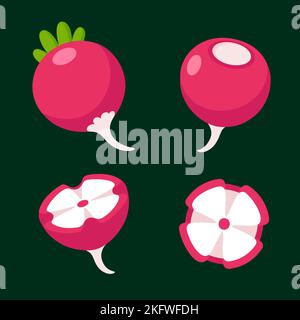 Cartoon carved radish illustration set. Whole vegetable and cut into flower. Flat vector style clip art illustration. Stock Vector
