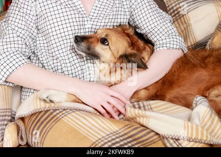 Young woman sitting on the sofa with her cute dog. Friends forever. Stock Photo