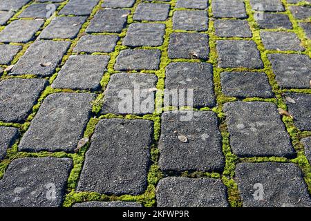 Stone garden path with moss in early morning light. Stock Photo