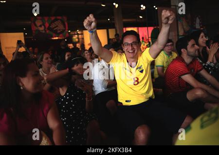 Sao Paulo, Brazil. 20th Nov, 2022. SP - Sao Paulo - 11/20/2022 - SAO PAULO, TORCIDA, APERTURA QATAR 2022 - An Ecuador fan celebrates a goal for his national team during the first game of the Qatar 2022 World Cup between Qatar and Ecuador, at the Football Museum, at the stadium do Pacaembu, in the central region of the city of Sao Paulo, this Sunday (20). Photo: Ettore Chiereguini/AGIF/Sipa USA Credit: Sipa USA/Alamy Live News Stock Photo