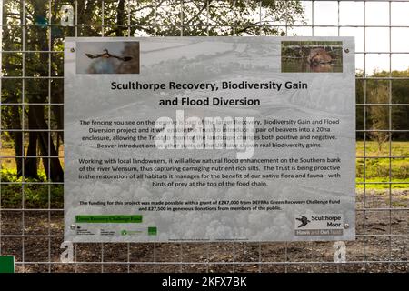 A sign at Sculthorpe Moor Nature Reserve explains introduction of beavers as part of the Recovery, Biodiversity Gain & Flood Diversion project. Stock Photo