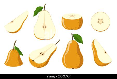 Sliced pear fruit Stock Vector