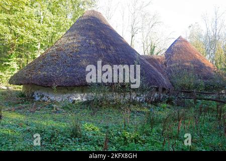 Celtic thatched roundhouses, St Fagans National Museum of History Amgueddfa Werin Cymru. Taken November 2022. Autumn Stock Photo