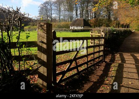 Abernodwydd farmhouse and shadows on autumn lane. St Fagans National Museum of Histor. Amgueddfa Werin Cymru. Taken November 2022. Autumn. Stock Photo