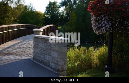 Flowers near bridge over Fairy Lake. Newmarket, Ontario, Canada September 2, 2022 Stock Photo