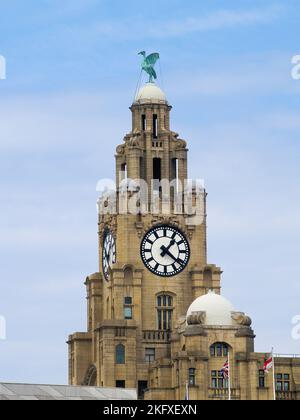 Liver bird mythical creature on top clock tower symbol of the English city of Liverpool, United Kingdom. Stock Photo